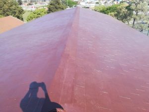 Roof rubber coating